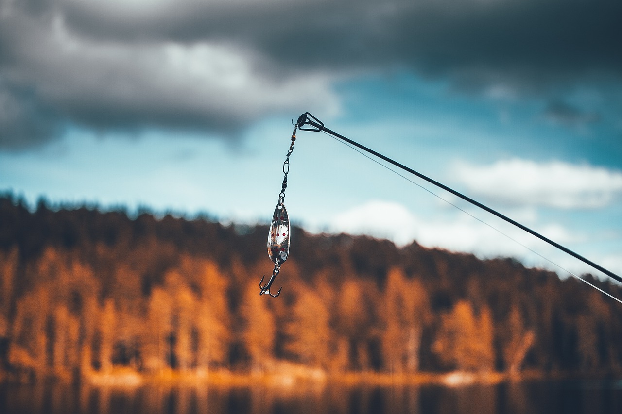 Quels sont les meilleurs modèles de cannes à pêche pour la pêche des carnassiers en eau douce ?